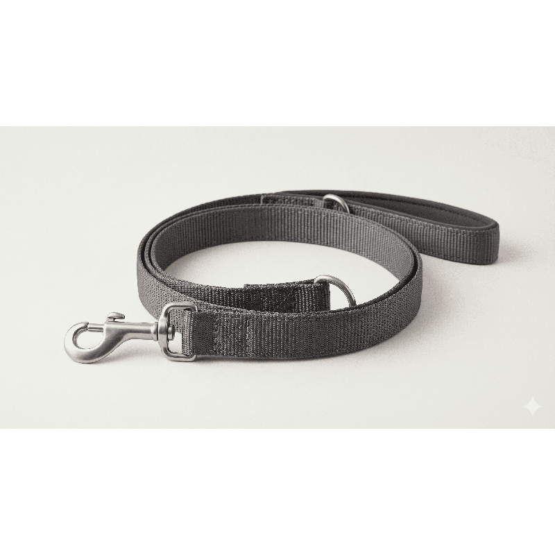 Laisse Urban Walk - Chien