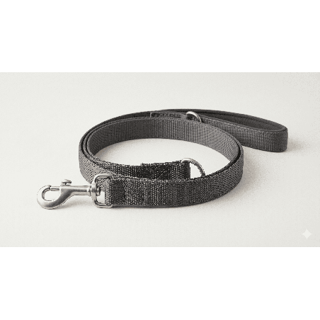 Laisse Urban Walk - Chien