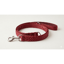 Laisse Urban Walk - Chien